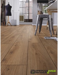 PVC/WPC/Vinyl/Laminaat-parketweb-4166 2